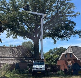 schermafbeelding 2026 03 20 101159