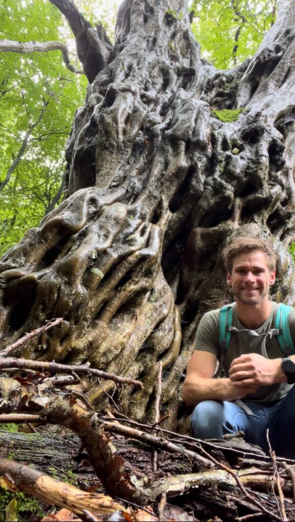 whatsapp image 2026 02 24 at 07.02.18