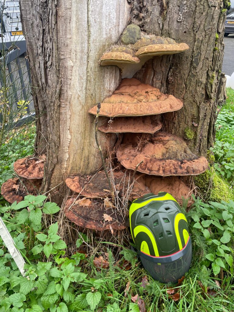 whatsapp image 2026 03 03 at 20.48.48