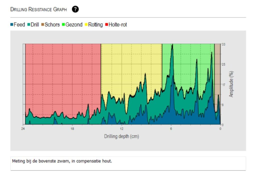 whatsapp image 2026 03 03 at 20.50.42