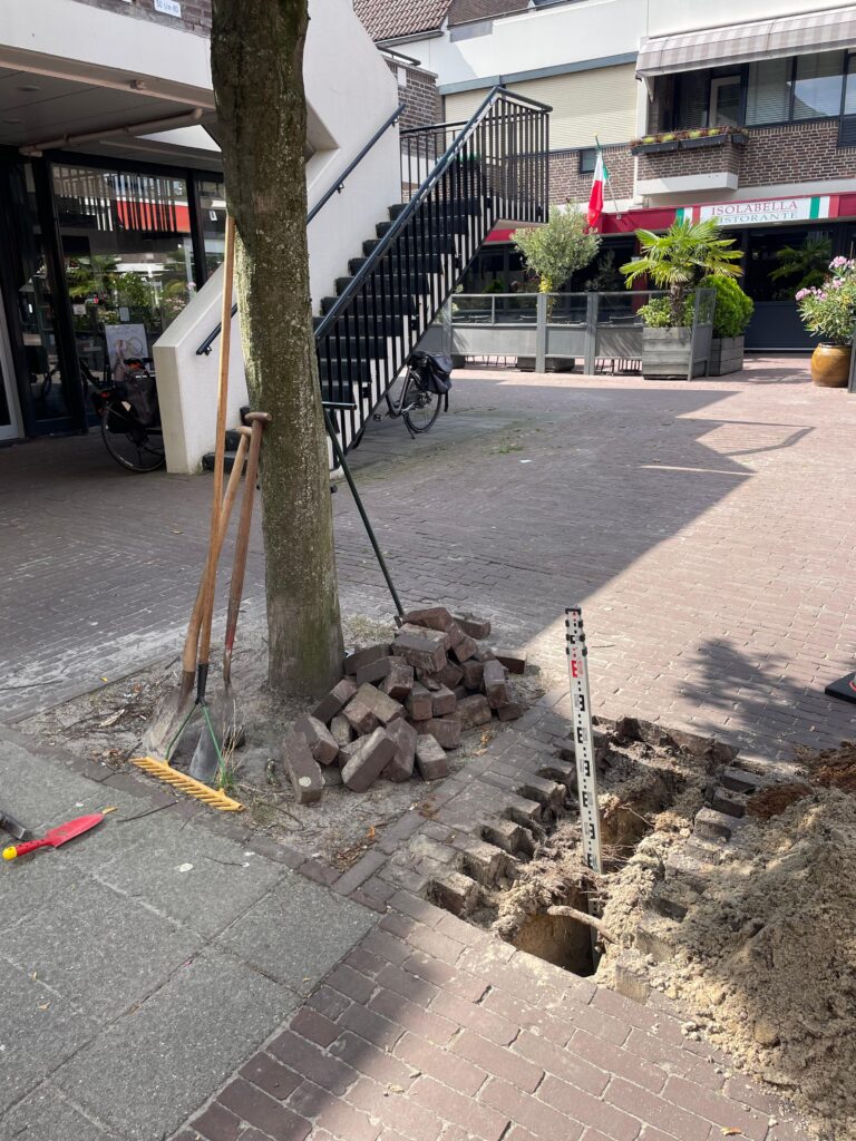 whatsapp image 2026 03 03 at 20.51.56