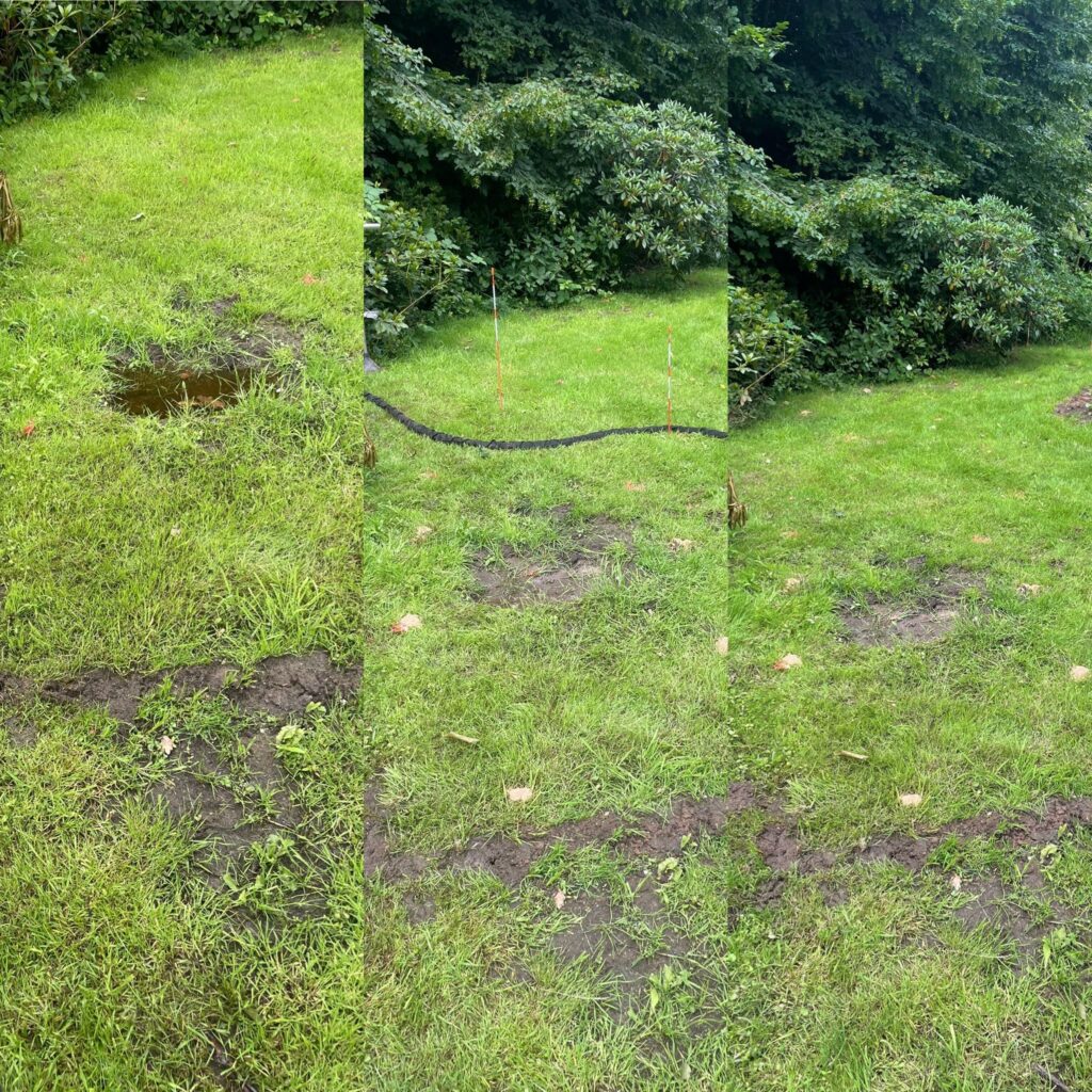 whatsapp image 2026 03 03 at 21.01.56